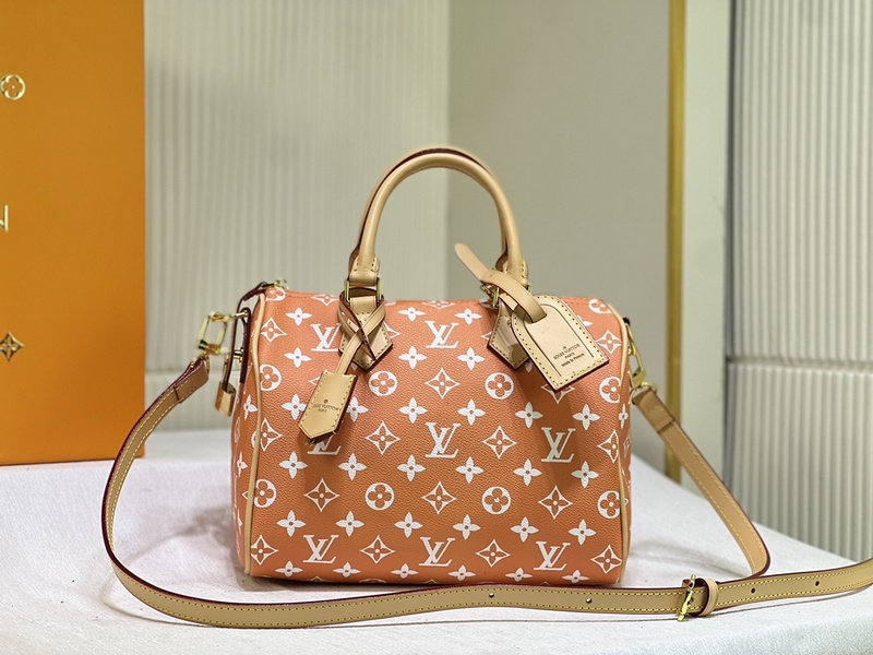 LV Handbags 213